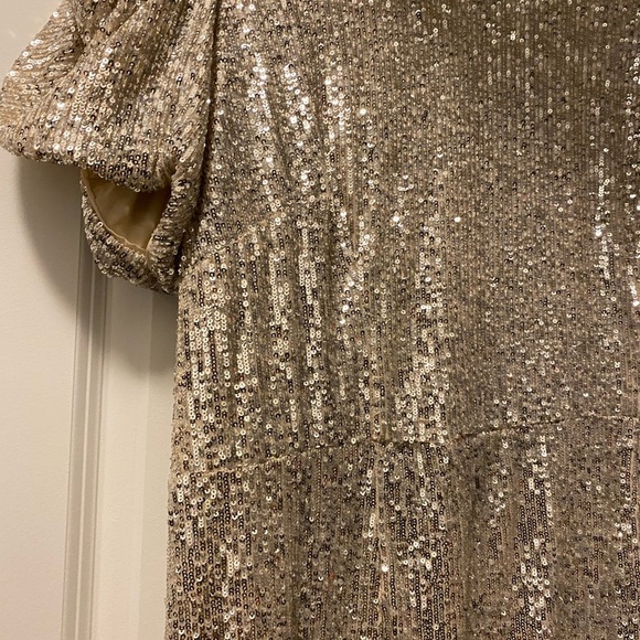 Elegant Sequin Dress - Picture 2 of 6